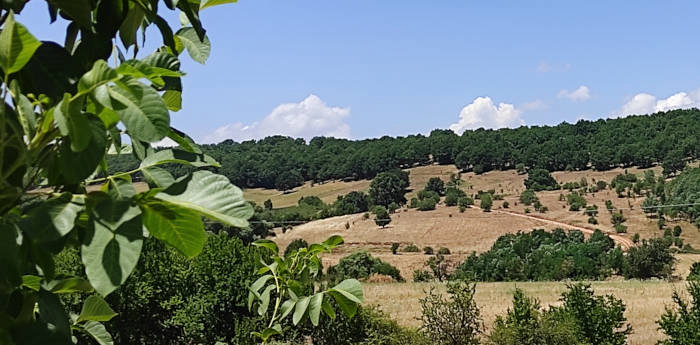 Η ιδέα της οικολογικής φάρμας